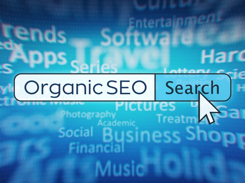 DigitalEffex Provides Organic SEO